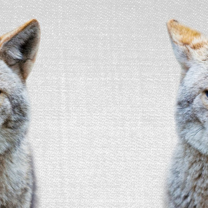 Coyote - Colorful Coffee Mug Gallery Image 2