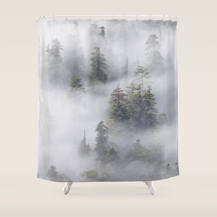 Forest In The Sky - Redwood National Park Foggy Trees Shower Curtain Gallery Image 1