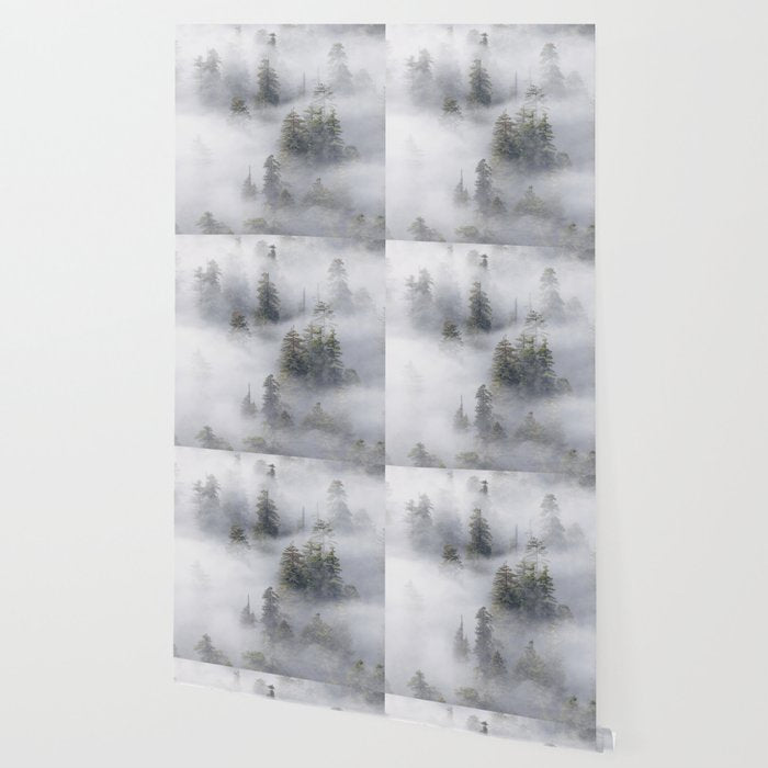 Forest In The Sky - Redwood National Park Foggy Trees Wallpaper Gallery Image 2