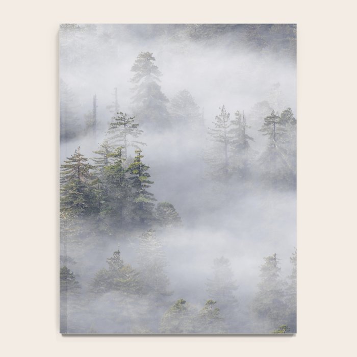 Forest In The Sky - Redwood National Park Foggy Trees Notebook Gallery Image 4