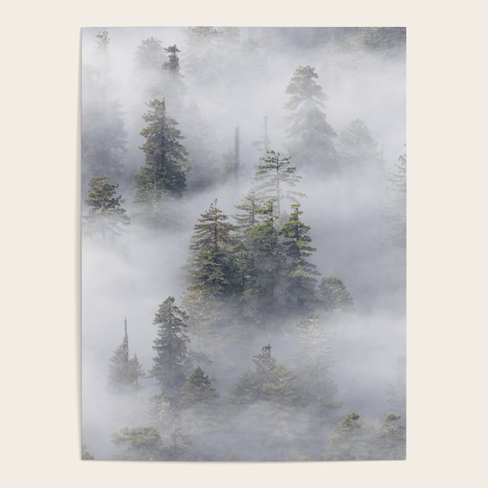 Forest In The Sky - Redwood National Park Foggy Trees Poster Gallery Image 4
