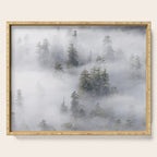 Forest In The Sky - Redwood National Park Foggy Trees Serving Tray Gallery Image 1