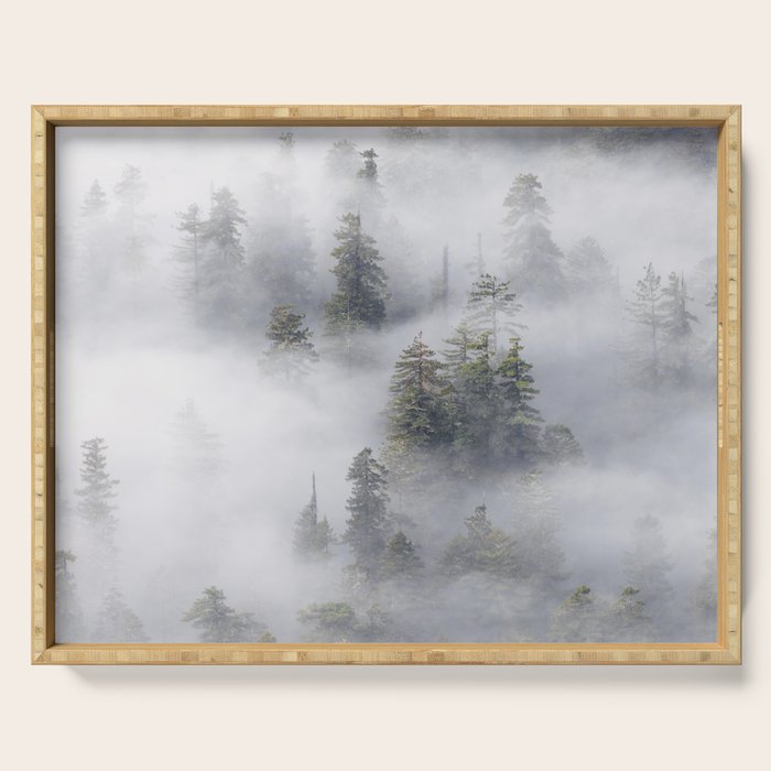 Forest In The Sky - Redwood National Park Foggy Trees Serving Tray Gallery Image 1