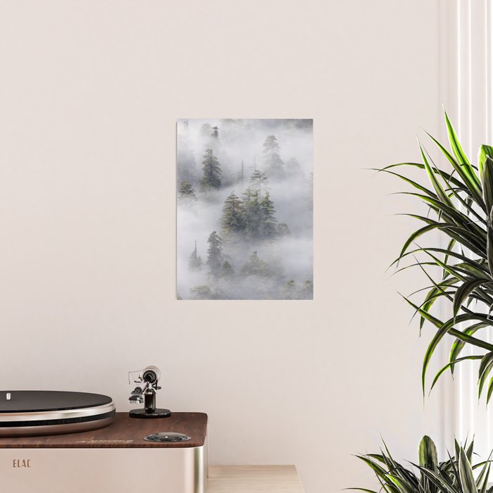 Forest In The Sky - Redwood National Park Foggy Trees Poster Gallery Image 2