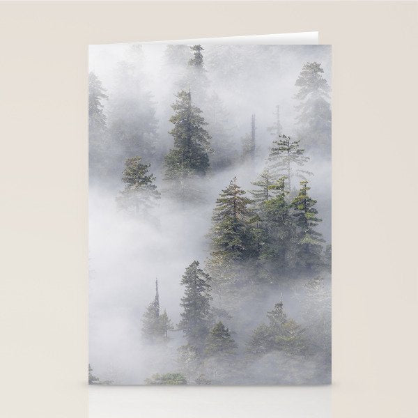 Forest In The Sky - Redwood National Park Foggy Trees Stationery Card Gallery Image 2
