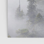 Forest In The Sky - Redwood National Park Foggy Trees Poster Gallery Image 3