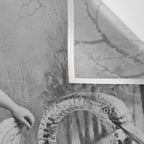 Eyes wide open, Lillian Russell, 1895 seated masquerade ball portrait black and white photograph Wall Tapestry Gallery Image 3