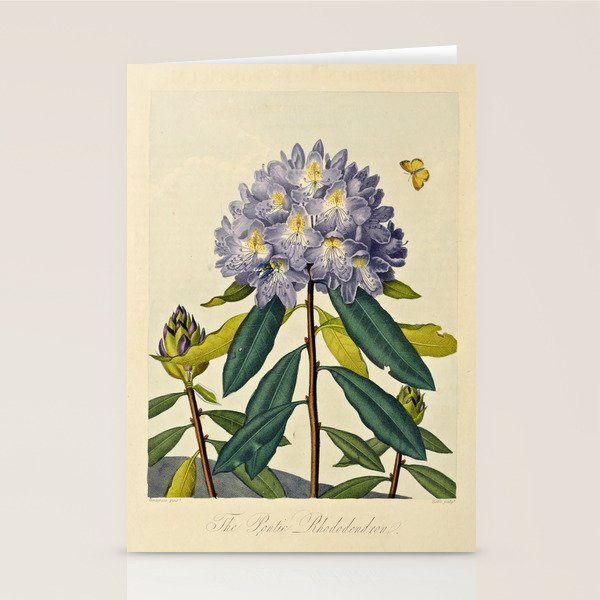 Rhododendron from "The Temple of Flora," 1812 (benefitting The Nature Conservancy) Stationery Card Gallery Image 2