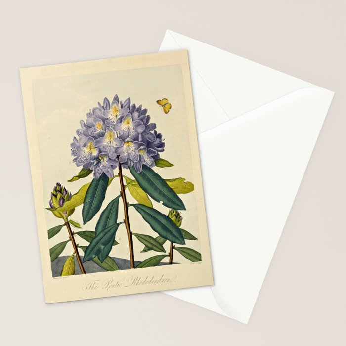 Rhododendron from "The Temple of Flora," 1812 (benefitting The Nature Conservancy) Stationery Card Gallery Image 2
