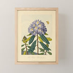 Rhododendron from "The Temple of Flora," 1812 (benefitting The Nature Conservancy) Mini Art Print Gallery Image 1