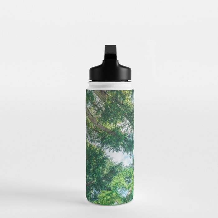 Lost In The Forest - Redwood National Park California Water Bottle Gallery Image 3