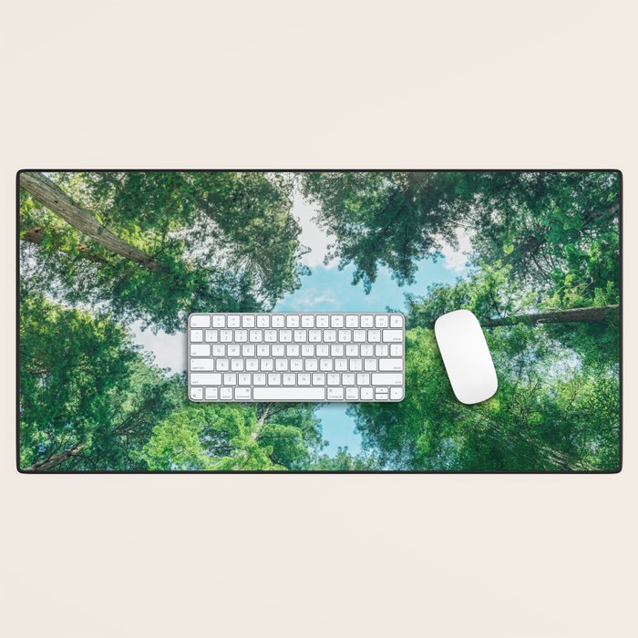 Lost In The Forest - Redwood National Park California Desk Mat Gallery Image 1