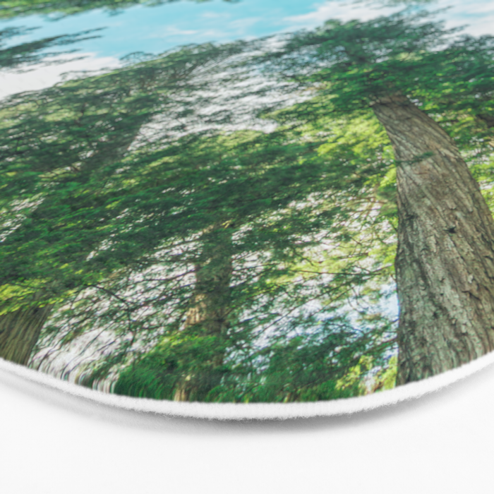 Lost In The Forest - Redwood National Park California Bath Mat Gallery Image 3