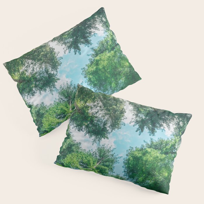 Lost In The Forest - Redwood National Park California Pillow Sham Gallery Image 3