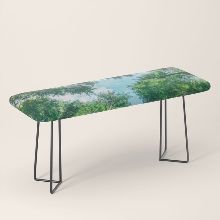 Lost In The Forest - Redwood National Park California Bench Gallery Image 1