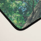 Lost In The Forest - Redwood National Park California Desk Mat Gallery Image 4