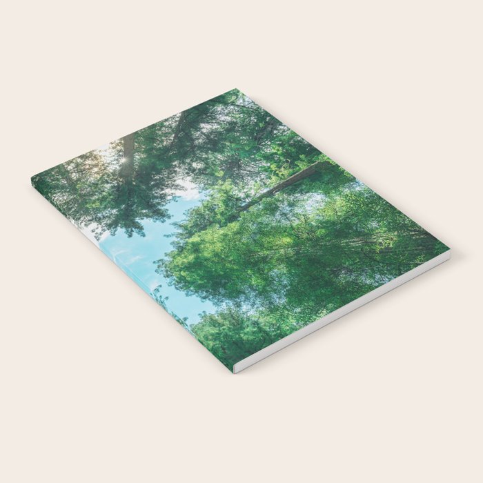 Lost In The Forest - Redwood National Park California Notebook Gallery Image 1