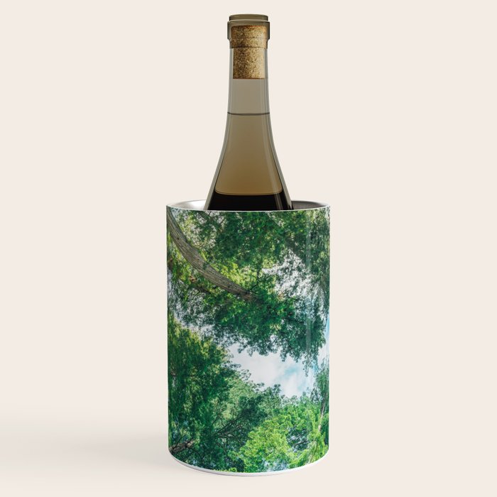 Lost In The Forest - Redwood National Park California Wine Chiller Gallery Image 2