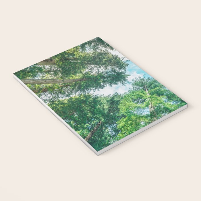 Lost In The Forest - Redwood National Park California Notebook Gallery Image 3
