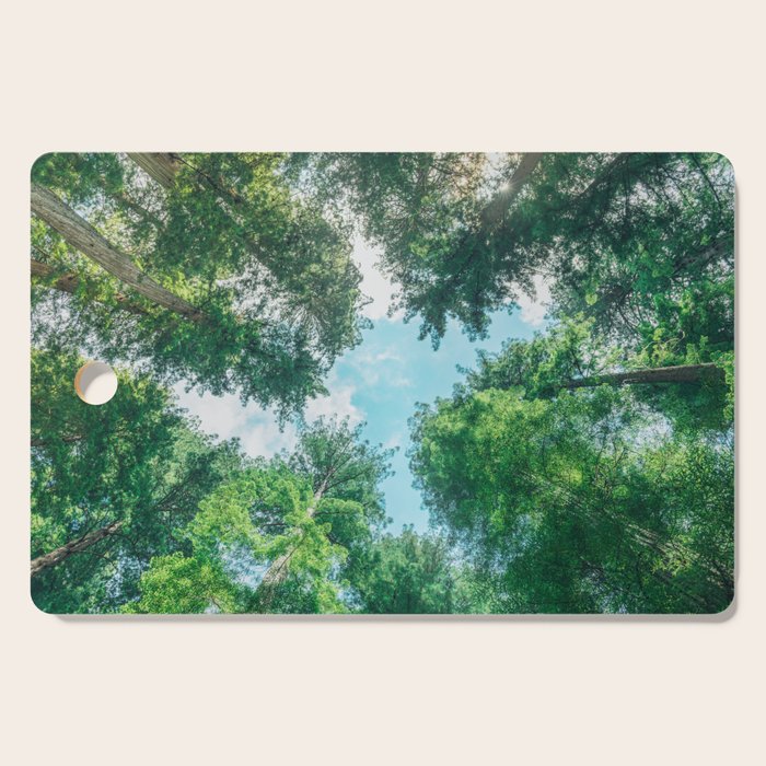 Lost In The Forest - Redwood National Park California Cutting Board Gallery Image 1