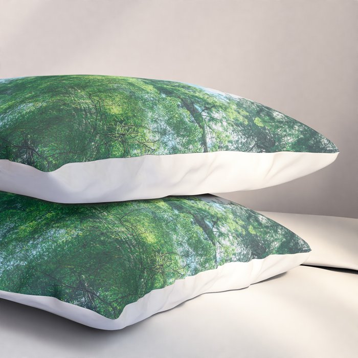 Lost In The Forest - Redwood National Park California Pillow Sham Gallery Image 3