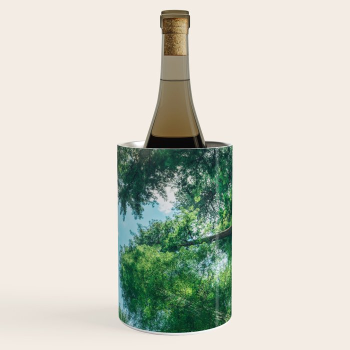Lost In The Forest - Redwood National Park California Wine Chiller Gallery Image 3