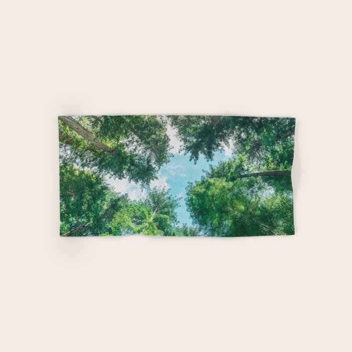 Lost In The Forest - Redwood National Park California Bath Towel Gallery Image 1