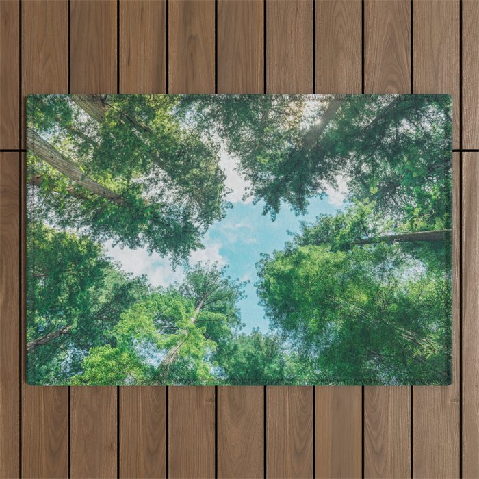 Lost In The Forest - Redwood National Park California Outdoor Rug Gallery Image 1
