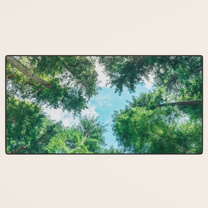 Lost In The Forest - Redwood National Park California Desk Mat Gallery Image 3
