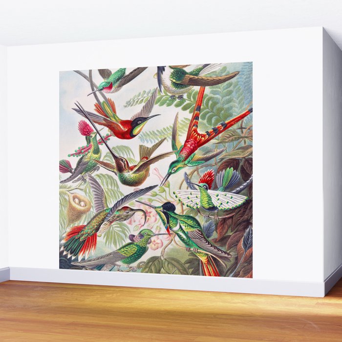 Beautiful colorful Hummingbirds from Art Forms of Nature (1904) landscape painting by Ernst Haeckel Wall Mural Gallery Image 2