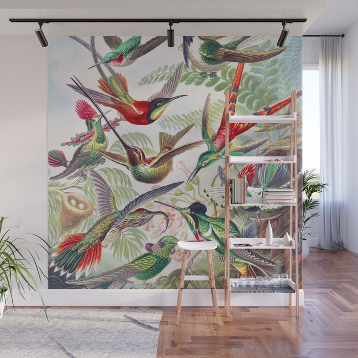 Beautiful colorful Hummingbirds from Art Forms of Nature (1904) landscape painting by Ernst Haeckel Wall Mural Gallery Image 1