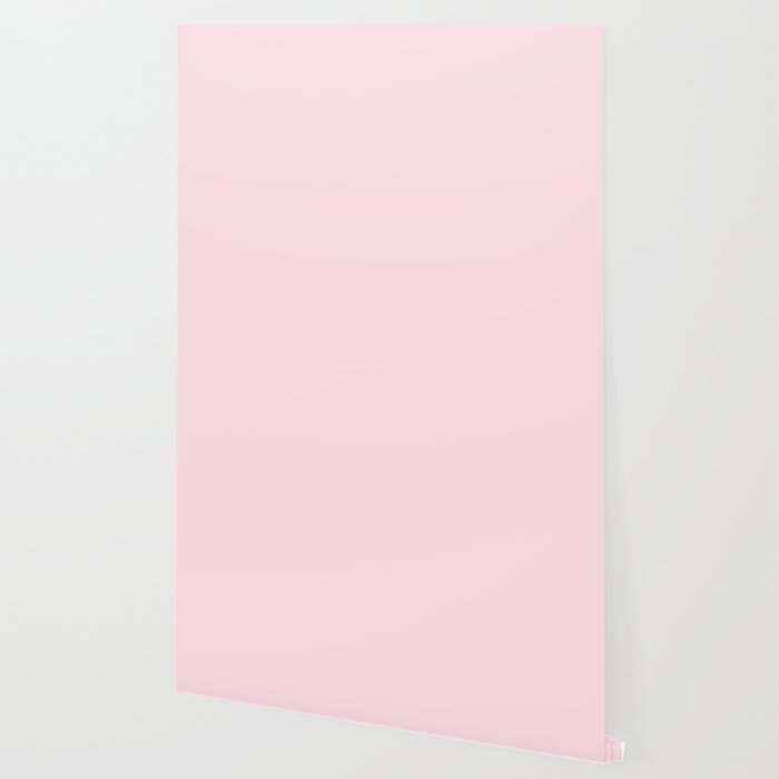 Modern blush pink solid color background design Wallpaper Gallery Image 2