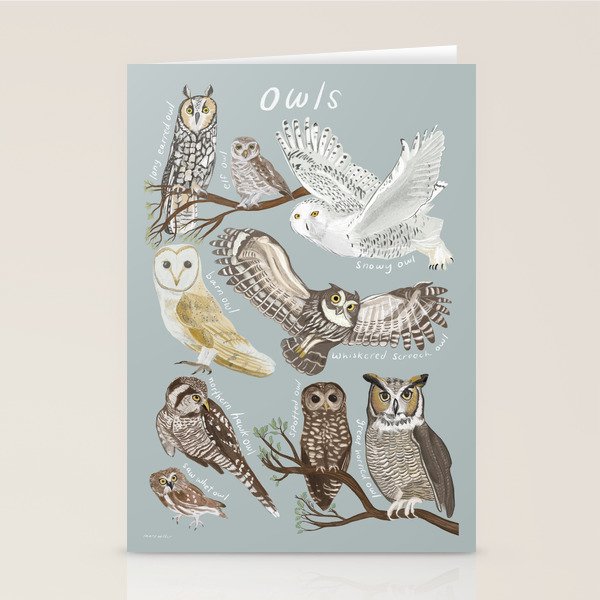 Owls Illustrated Chart Stationery Card Gallery Image 2