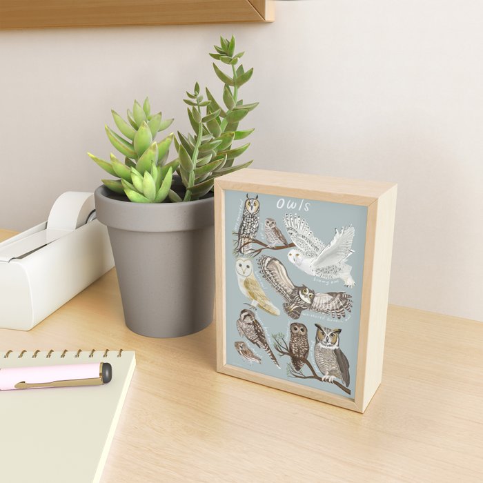 Owls Illustrated Chart Mini Art Print Gallery Image 2