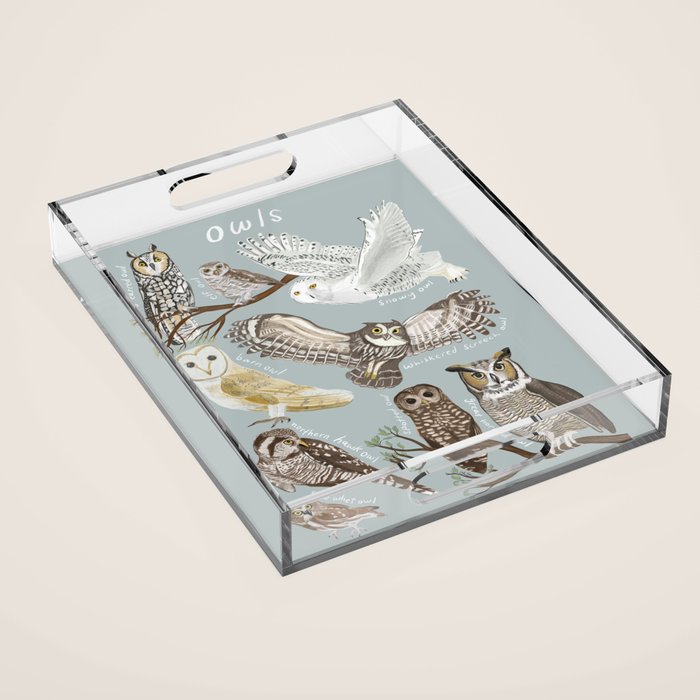 Owls Illustrated Chart Acrylic Tray Gallery Image 1