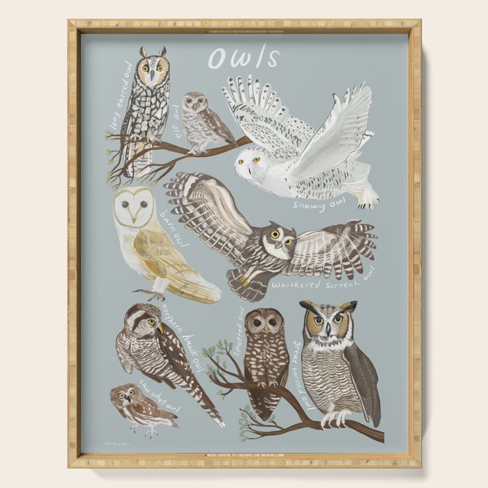 Owls Illustrated Chart Serving Tray Gallery Image 1