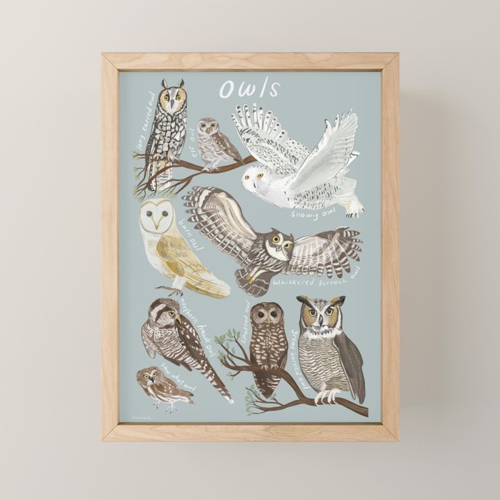 Owls Illustrated Chart Mini Art Print Gallery Image 1