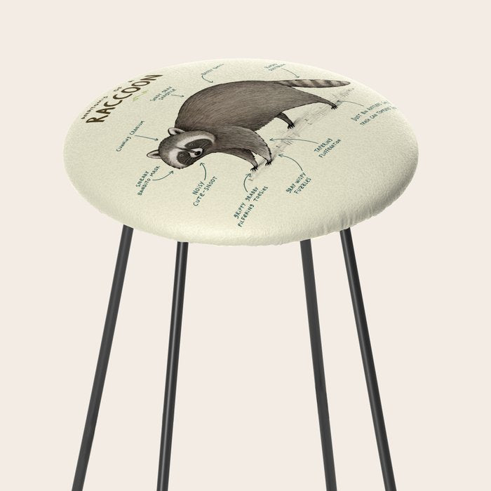 Anatomy of a Raccoon Stool Gallery Image 2