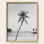 Palm Trees 16 Serving Tray Gallery Image 1