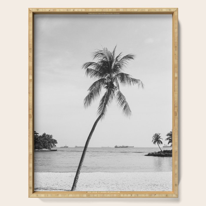 Palm Trees 16 Serving Tray Gallery Image 1