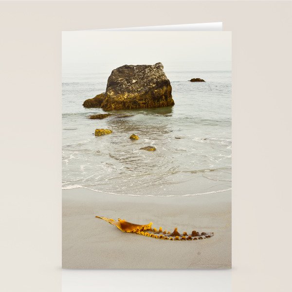 Summer Beach Seaweed Stationery Card Gallery Image 1