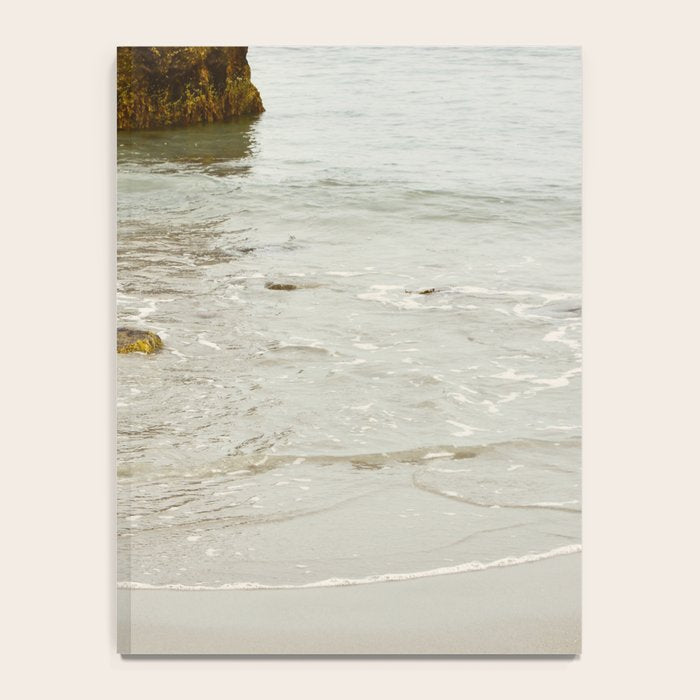 Summer Beach Seaweed Notebook Gallery Image 4
