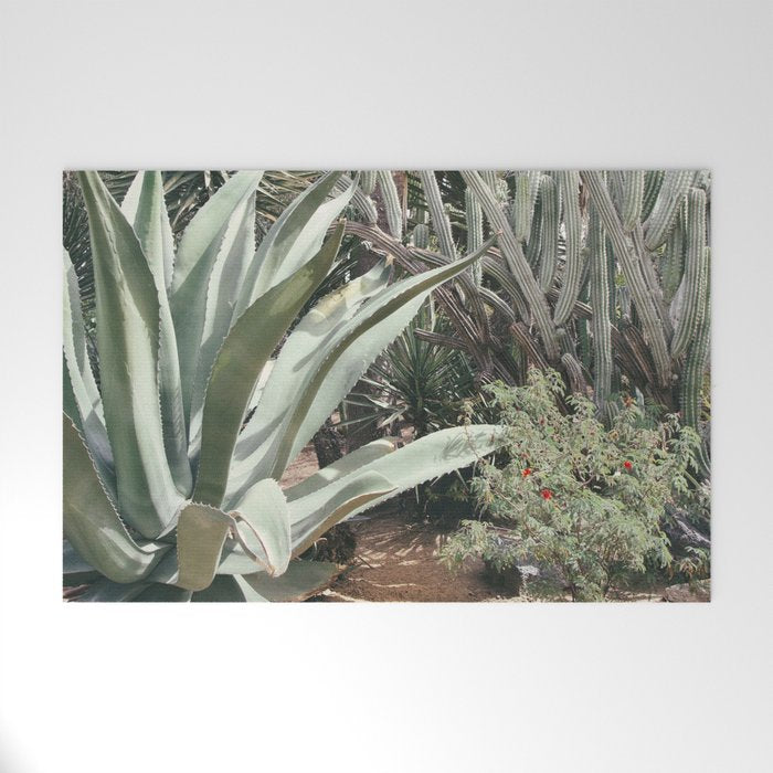 Cactus Garden #3 - Nature Photography Welcome Mat Gallery Image 1