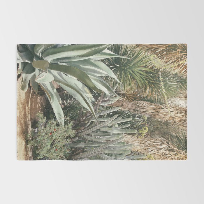 Cactus Garden #3 - Nature Photography Rug Gallery Image 2