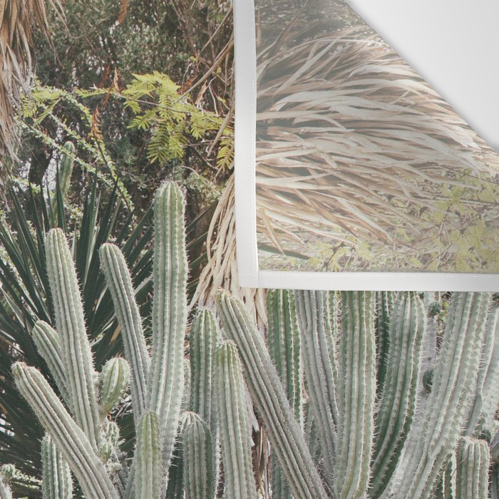 Cactus Garden #3 - Nature Photography Wall Tapestry Gallery Image 3
