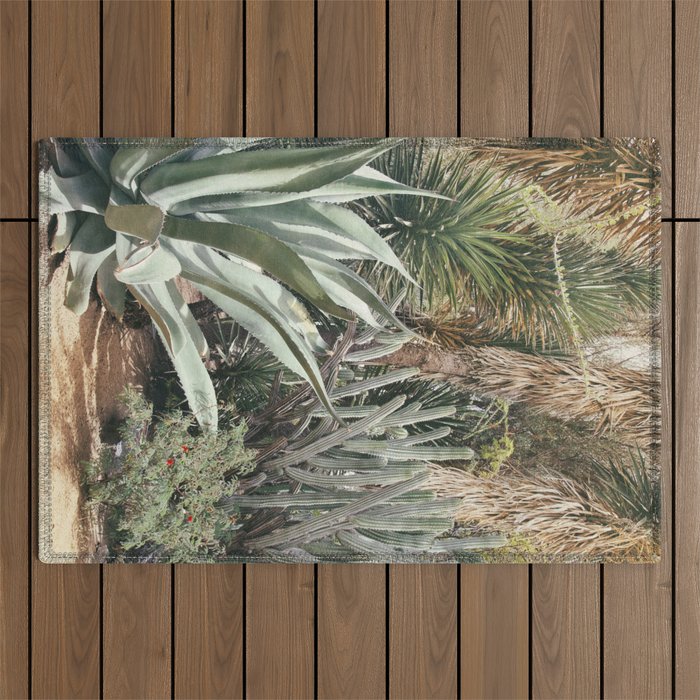 Cactus Garden #3 - Nature Photography Outdoor Rug Gallery Image 1