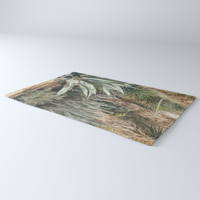Cactus Garden #3 - Nature Photography Rug Gallery Image 3