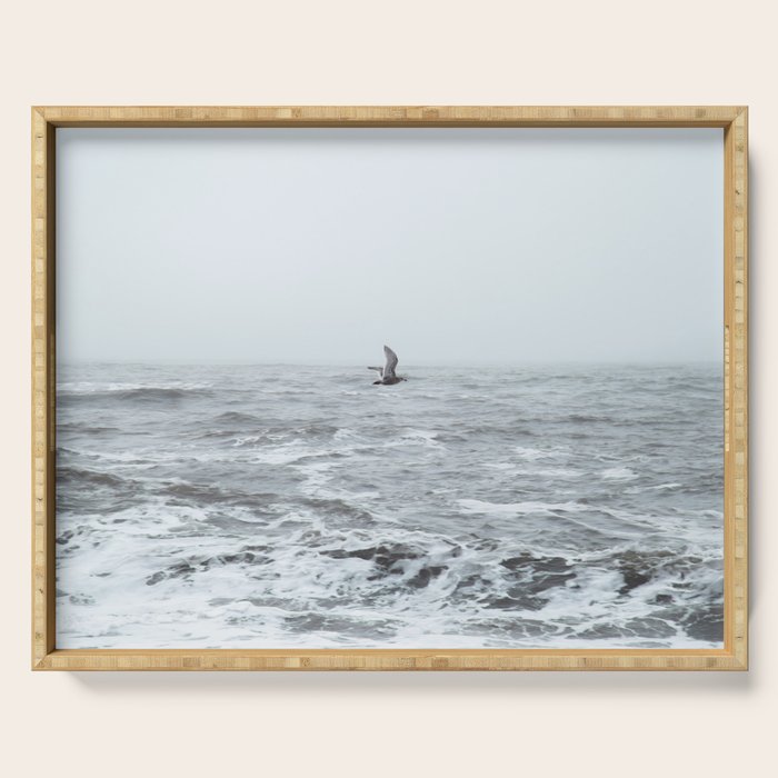 Fly By Serving Tray Gallery Image 1
