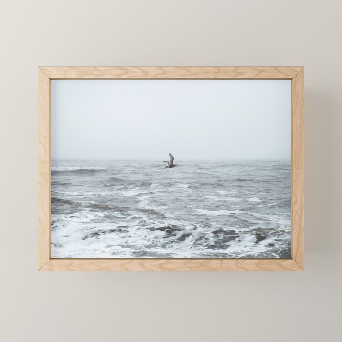 Fly By Mini Art Print Gallery Image 1