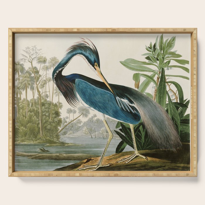 Louisiana Heron by John James Audubon  Serving Tray Gallery Image 1